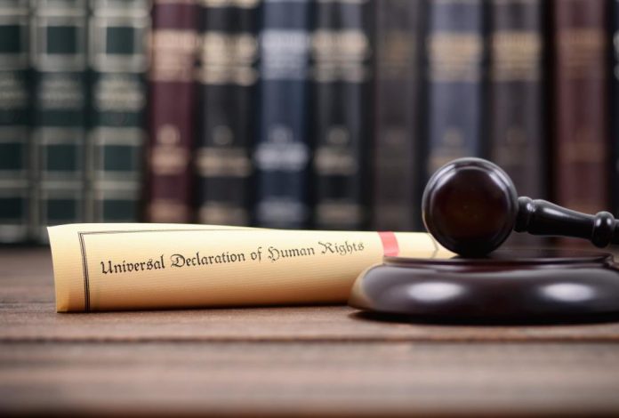 shutterstock_1036749373